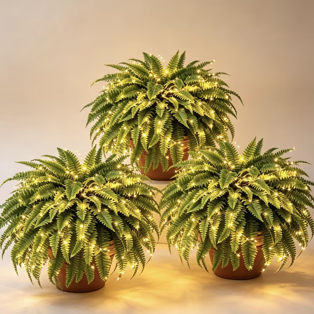 Billhol® 💛Glowing Boston Ferns with Lights – 🌿 Zero Watering, Zero Maintenance