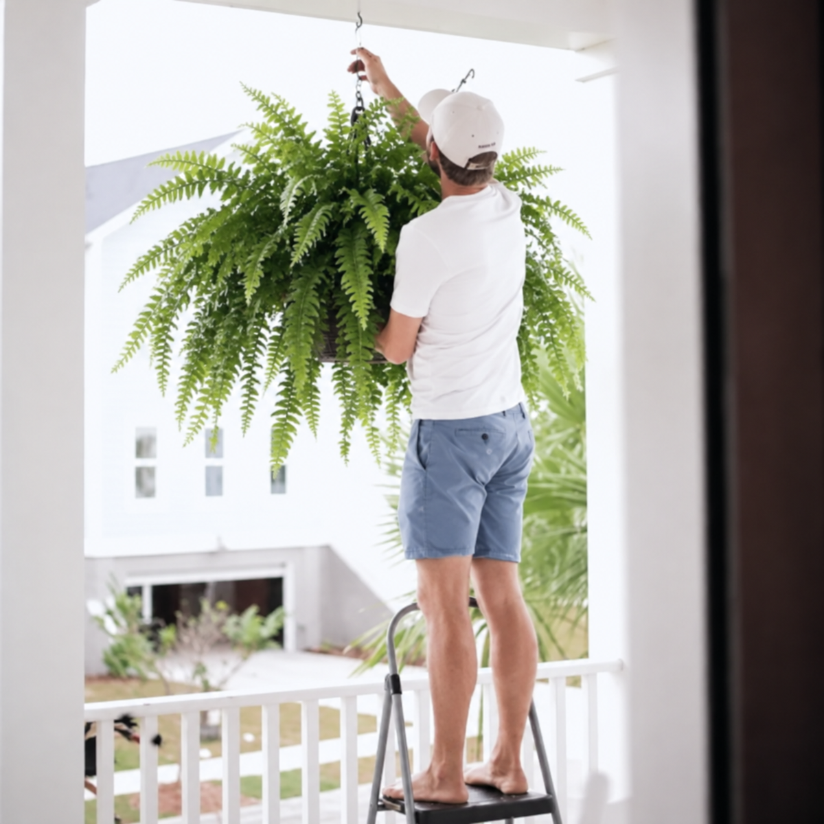 Billhol® 💛Glowing Boston Ferns with Lights – 🌿 Zero Watering, Zero Maintenance