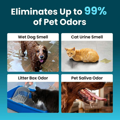 Billhol® 😻 Pet Deodorizer| Eliminate Pet Smells In Under 24 Hours & Stop Them From Coming Back