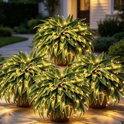 Billhol® 💛Glowing Boston Ferns with Lights – 🌿 Zero Watering, Zero Maintenance